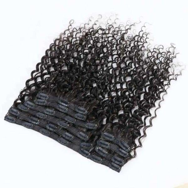 Deep Curly Clip-ins