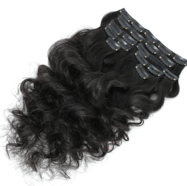 Loose Wavy Clip-ins